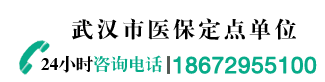 18672955100