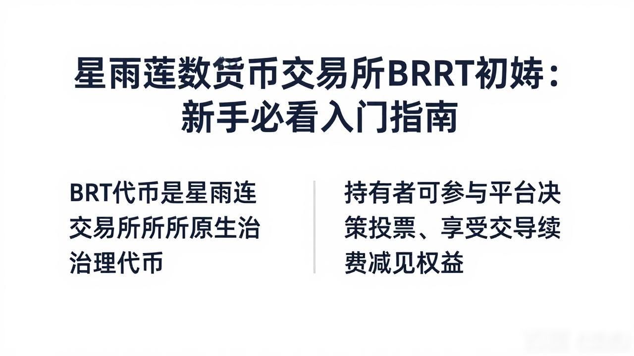 星雨莲数字货币交易所BRT初苋：新手必看入门指南