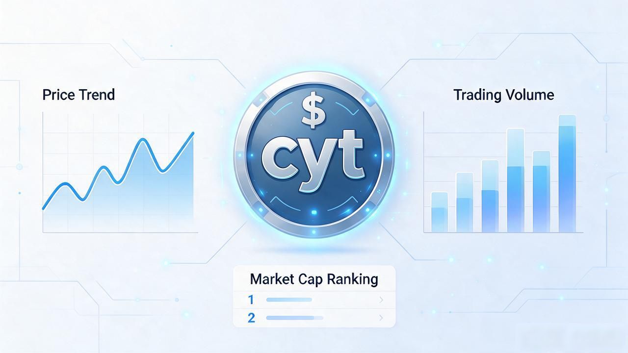 cyt数字货币是什么？小白入门投资指南